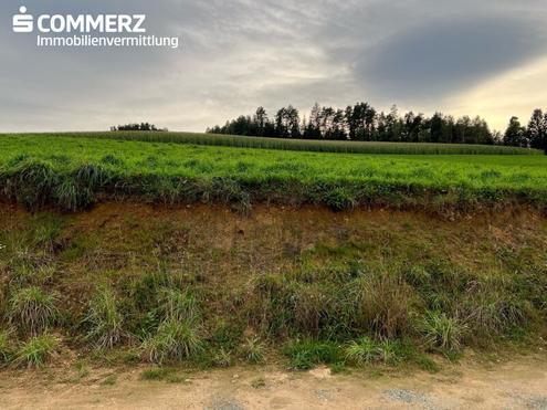 Sommer im Eigenheim