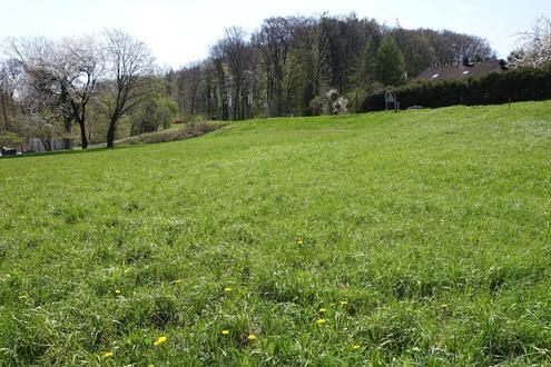 " BAULAND ohne Bauzwang - Leben im Wienerwald "