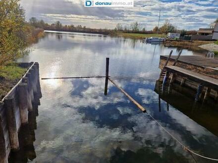 Oggau am Neusiedlersee, Seegrundstück mit Seeanteil zu kaufen