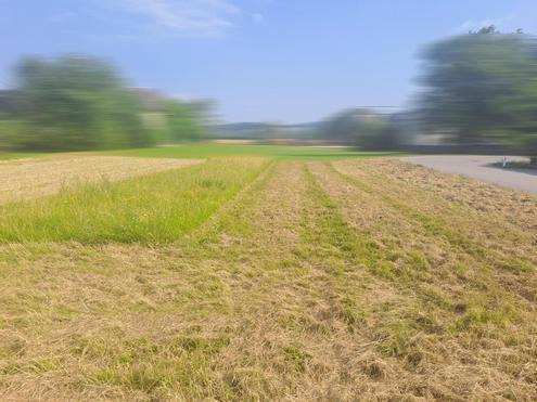 Ebenes, sonniges Grundstück KEIN Bauzwang