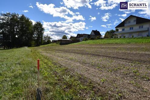 Ihr Traumhaus wird Wirklichkeit: Idyllisches Baugrundstück in Bad Gams mit sonniger Südausrichtung, allen Anschlüssen u…