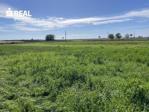 Exklusives Grundstück - Grüner Ausblick bis zum Neusiedlersee