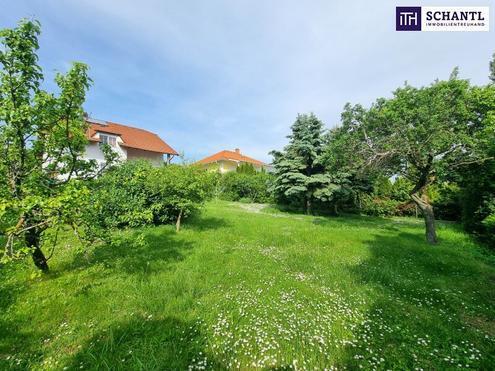 WOW! Erfüllen Sie Ihren Traum vom eigenen Haus! 8 Zimmer + Riesiger Garten + Viel Grün + Traumterrasse mit Fernblick! M…