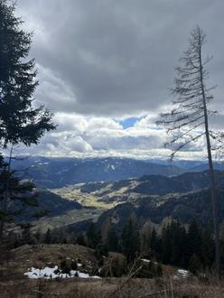 7,7 ha Forst / Wald als solide Geldanlage