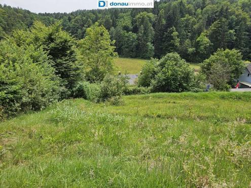 Genehmigtes Bauprojekt für Doppelhaus-Idylle in Hart bei Graz