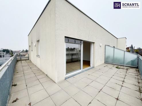 DACHTERRASSEN-HIT! 2 Zimmer Wohnung mit 36m² WESTTERRASSE! Ab sofort verfügbar! Haustiere erlaubt!