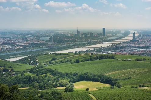 Luxus-Penthouse inmitten der Vienna Hills - traumhaftes Stadtpanorama