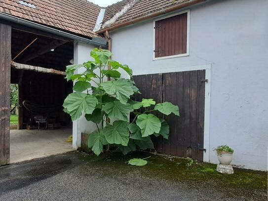 Älteres Haus in Murstetten zu verkaufen!