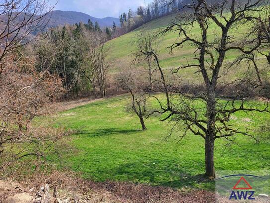 Bauernhof mit arrondiertem Grund in Alleinlage im Voralpengebiet!