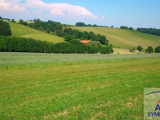 Schönes Grundstück in Eisenstadt