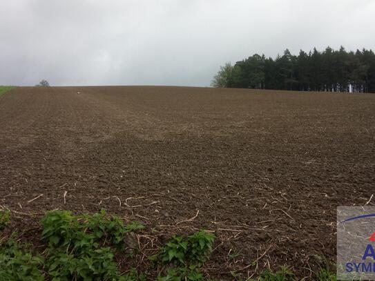 Landwirtschaftliche Grundstücke zu verkaufen!