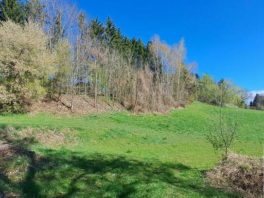 Wohnhaus mit landwirtschaftlichen Flächen, Reithalle, Reitplatz und Pferdeboxen!