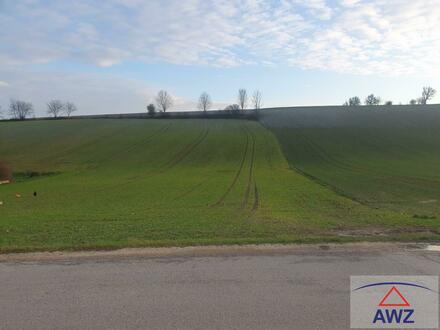 Wunderschöner Acker am Linzer Stadtrand