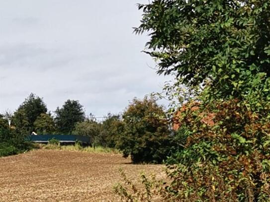 2 Sonnige Baugrundstücke in zentraler Lage in Bachmanning!