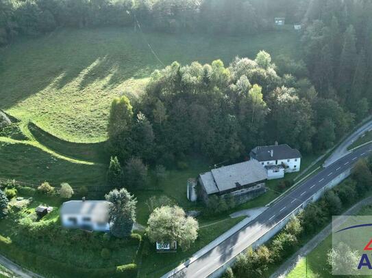 Landwirtschaft mit Hofstelle in Trieben!