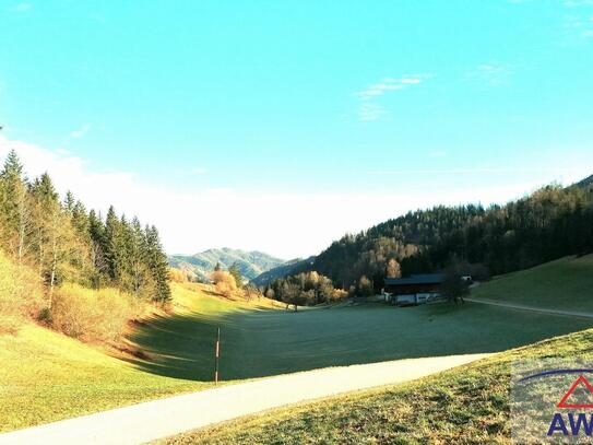 ALLEINLAGE - Bio-Bauernhof mit ca. 36 ha landw. Grund!!!!