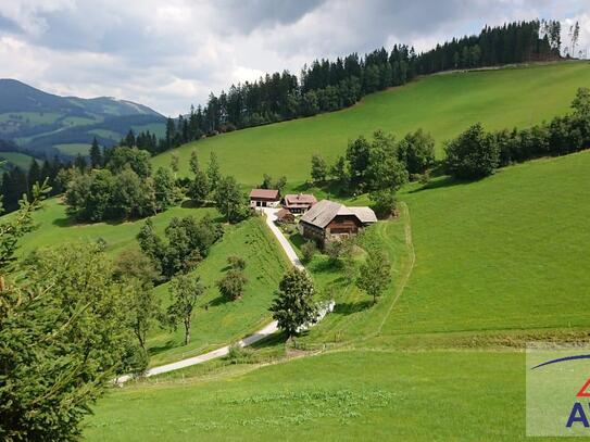 Landwirtschaft mit über 53 Hektar!