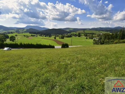 Baugrund im Almenland!