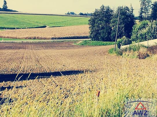 2 Sonnige Baugrundstücke in zentraler Lage in Bachmanning!