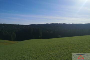 Landwirtschaftliches Grundstück und Baugrund im Raum Mondsee zu verkaufen!