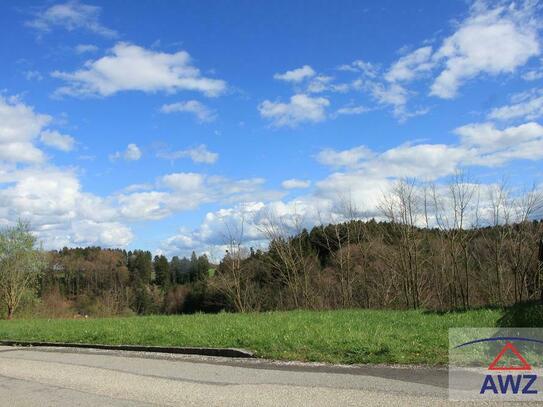 Grünland, Wald und kleiner Baugrund!!