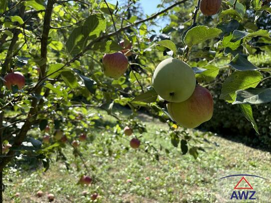 Historisches Jagdschlösschen im Bezirk Mistelbach