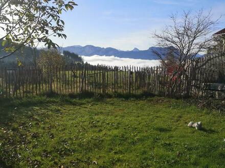 Landwirtschaftliches Grundstück und Baugrund im Raum Mondsee zu verkaufen!