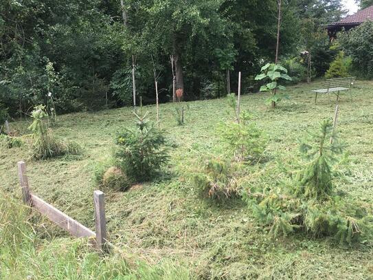 Leben im Grünen am ruhigen Waldrand!