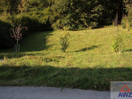 VÖCKLABRUCK: Idyllisches, sonniges Grundstück mit Fernsicht in bevorzugter Traumlage zu verkaufen!