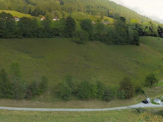 Wunderschöne Aussichtslage - Baugrund und ca. 7 ha Wiese!