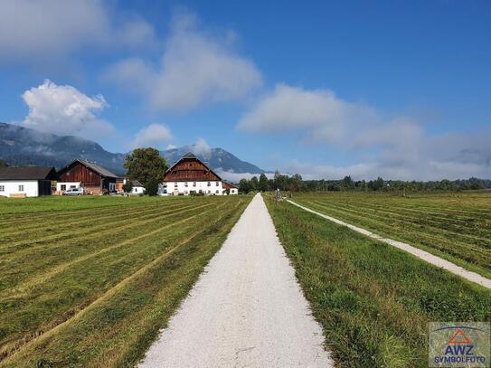 Acker im Raum St.Pölten!