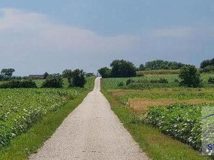 Schönes Ackerland ab ca. 2.9 ha