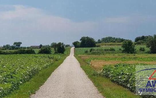 Acker 4.1 ha an der Schönbrunner Allee!