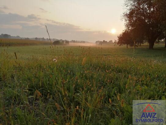 Schöne Wiese mit ca. 3 ha für Landwirte auf ca. 530 m Seehöhe!