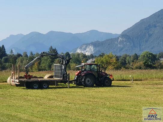 Top Gelegenheit - Schönes Grundstück mit mehreren Nutzungsmöglichkeiten