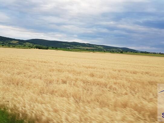 Große Landwirtschaft mit ca. 30 Hektar!