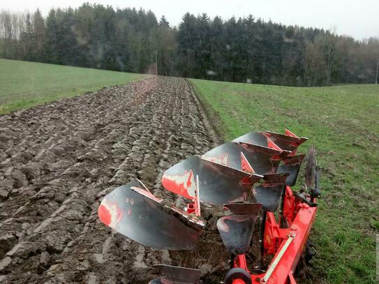 Schöne Bio-Ackerflächen!