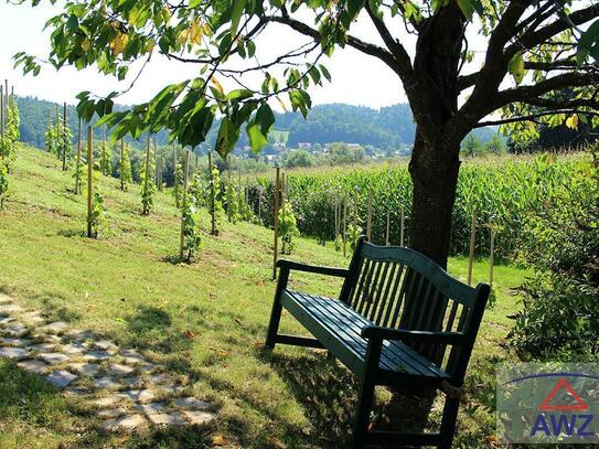 Einzellage - Traumhaftes Anwesen in der Südsteiermark!