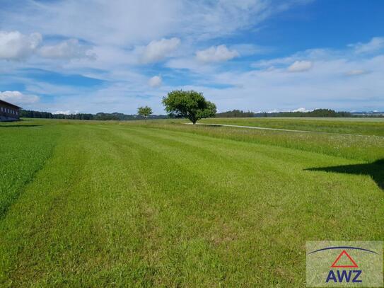 Schöne LANDWIRTSCHAFT mit extra BAUGRUND!