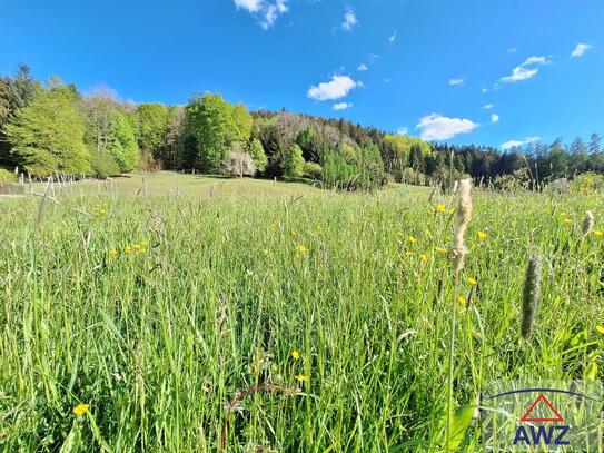 Idyllisches Grundstück mit Wald und Wiese!