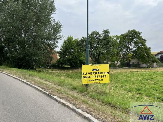 Neuer Preis! Großer Bauplatz im Ortszentrum!