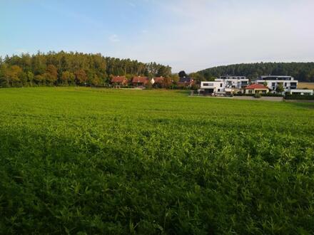 Baugrundstück ca. 3500 m²
