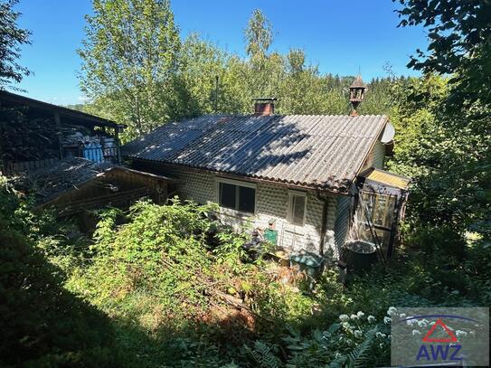 Für Naturliebhaber - Leistbares Wohn- oder Ferienhaus in Ruhelage in idyllischer Lage.