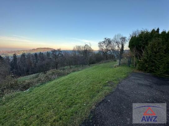 Nähe Steyr: Günstige Single-/Pärchenwohnung mit Garten und toller Aussicht!