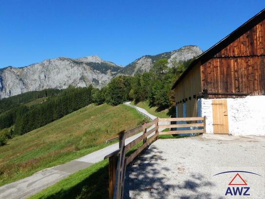 TRAUMLAGE - ca. 7 ha große Wiese! Mit Stallgebäude und Baugrund!