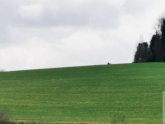 Gelegenheit: Schöne Ackerfläche in sehr guter Lage!