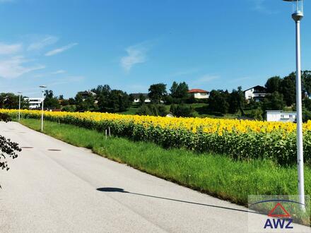 Sonniges Baugrundstück in Bachmanning!