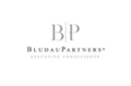 BludauPartners Executive Consultants GmbH