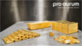 pro aurum GmbH