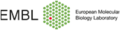 Europaeisches Laboratorium fuer Molekularbiologie